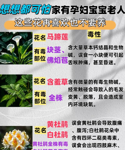 乱养花的人什么性格 乱养花的人什么性格