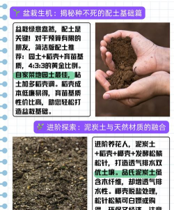 无土栽培基质,选择要点,使用技巧 无土栽培基质,选择要点,使用技巧