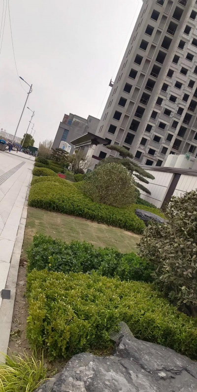 单位大门口绿化设计,提升形象关键,营造舒适环境 单位大门口绿化设计,提升形象关键,营造舒适环境