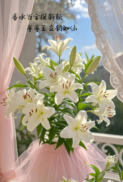 百合的栽培,选对品种,轻松上手 百合的栽培,选对品种,轻松上手