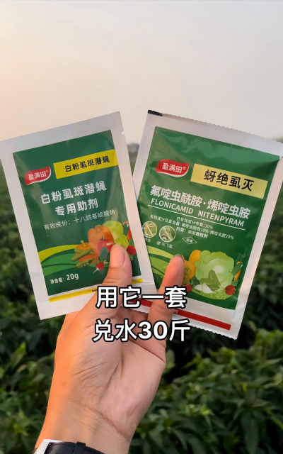 花椒树如何防治白粉病,识别早期症状,掌握有效方法 花椒树如何防治白粉病,识别早期症状,掌握有效方法