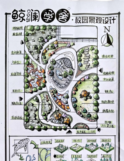 教学楼绿化设计平面图,规划要点解析,实用方案参考 教学楼绿化设计平面图,规划要点解析,实用方案参考