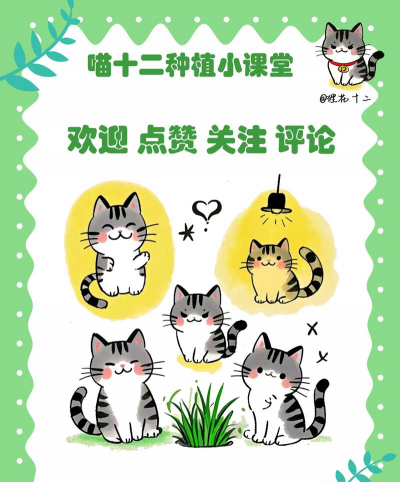 蔬菜栽培学,掌握种植技巧,提升产量品质 蔬菜栽培学,掌握种植技巧,提升产量品质