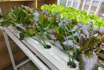 无土栽培管道,搭建简单,新手也能上手 无土栽培管道,搭建简单,新手也能上手