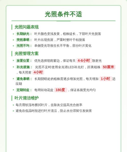 幸福树落叶怎样防治病虫,常见原因分析,实用解决技巧 幸福树落叶怎样防治病虫,常见原因分析,实用解决技巧