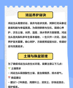 大展宏图花怎么养,掌握关键技巧,轻松养出好状态 大展宏图花怎么养,掌握关键技巧,轻松养出好状态