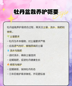 富贵花怎么养盆栽,选对土壤,掌握浇水技巧 富贵花怎么养盆栽,选对土壤,掌握浇水技巧