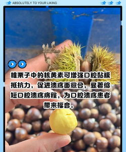 板栗树烂果用什么药防治,找准原因,对症下药 板栗树烂果用什么药防治,找准原因,对症下药