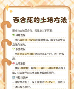 明开夜合花怎么养,掌握关键技巧,轻松养出好状态 明开夜合花怎么养,掌握关键技巧,轻松养出好状态