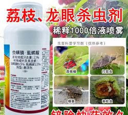 龙眼树椿象防治特效药,快速消灭害虫,保护果树健康 龙眼树椿象防治特效药,快速消灭害虫,保护果树健康