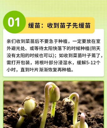 无土栽培视频教程,新手入门指南,轻松掌握技巧 无土栽培视频教程,新手入门指南,轻松掌握技巧