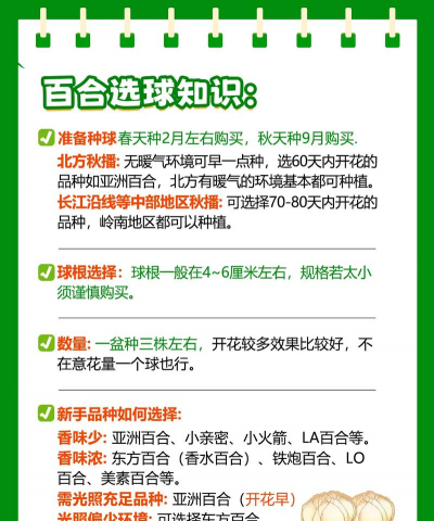 新鲜百合花怎么养水里,延长花期技巧,新手也能轻松上手 新鲜百合花怎么养水里,延长花期技巧,新手也能轻松上手