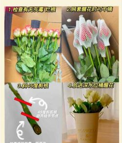 怎么养玫瑰花久一些,延长花期技巧,新手也能轻松掌握 怎么养玫瑰花久一些,延长花期技巧,新手也能轻松掌握