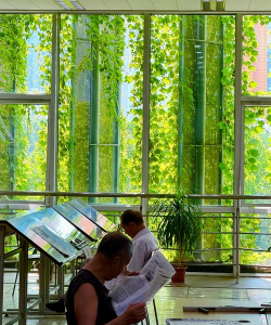 图书馆绿化设计,提升阅读体验,营造舒适环境 图书馆绿化设计,提升阅读体验,营造舒适环境