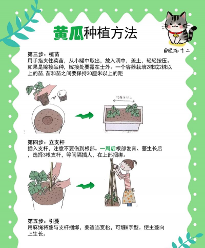 无土栽培蔬菜大棚,高效种植方法,轻松管理技巧 无土栽培蔬菜大棚,高效种植方法,轻松管理技巧