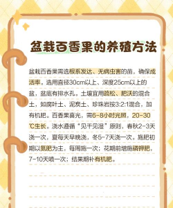 百香果栽培技术,掌握关键步骤,轻松收获果实 百香果栽培技术,掌握关键步骤,轻松收获果实