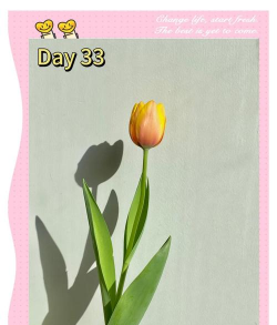 花怎么养水里,延长花期,保持鲜艳 花怎么养水里,延长花期,保持鲜艳