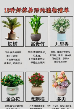 花杂草怎么养,轻松上手,美化环境 花杂草怎么养,轻松上手,美化环境