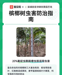 槟榔树防治,常见问题,实用方法 槟榔树防治,常见问题,实用方法