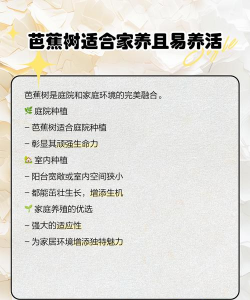 芭蕉树防治,常见问题解析,实用方法分享 芭蕉树防治,常见问题解析,实用方法分享