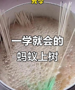 树蚂蚁防治,找准方法,轻松解决 树蚂蚁防治,找准方法,轻松解决