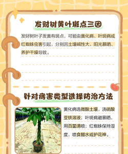 黄树防治,常见问题,解决方向 黄树防治,常见问题,解决方向