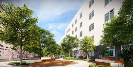 绿化校园活动设计,激发学生热情,打造绿色环境 绿化校园活动设计,激发学生热情,打造绿色环境