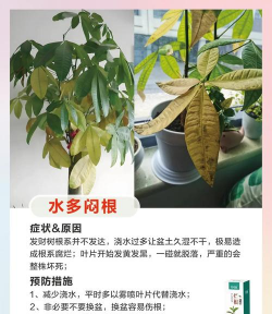 树冻害防治,常见问题与应对方法 树冻害防治,常见问题与应对方法