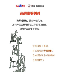 青铜树防治,常见问题,实用方法 青铜树防治,常见问题,实用方法