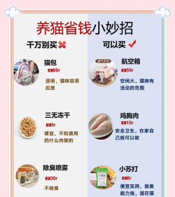 猫咪栽培,新手入门指南,轻松养出健康猫 猫咪栽培,新手入门指南,轻松养出健康猫