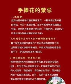 新娘花怎么养,新手也能轻松上手,掌握关键养护技巧 新娘花怎么养,新手也能轻松上手,掌握关键养护技巧