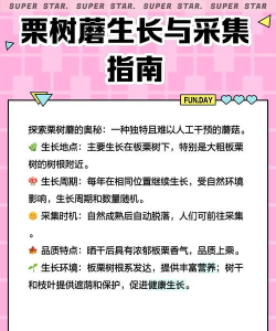树防治蘑菇,常见问题与实用方法 树防治蘑菇,常见问题与实用方法