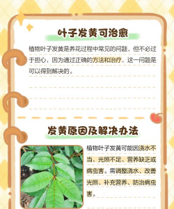 黄化树防治,找准原因,对症下药 黄化树防治,找准原因,对症下药