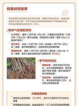 桃树的栽培技术,选对品种,掌握关键步骤 桃树的栽培技术,选对品种,掌握关键步骤