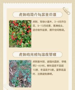 树老虎防治,识别害虫特征,掌握有效方法 树老虎防治,识别害虫特征,掌握有效方法