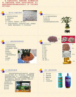 无土栽培ppt,制作要点,实用技巧 无土栽培ppt,制作要点,实用技巧