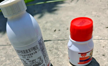 树衣防治,常见问题,解决方向 树衣防治,常见问题,解决方向