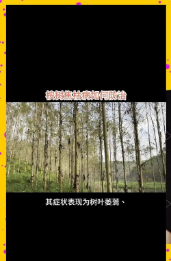 安树防治,常见问题,实用方法 安树防治,常见问题,实用方法