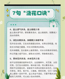 逢花怎么养,新手入门指南,轻松掌握养护技巧 逢花怎么养,新手入门指南,轻松掌握养护技巧