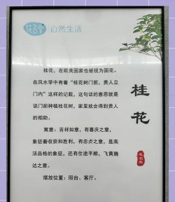 桂花树怎么种植,种子栽培方法,新手入门指南 桂花树怎么种植,种子栽培方法,新手入门指南