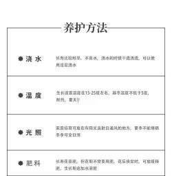 长寿花冬季怎么养,保暖防冻是关键,浇水施肥要调整 长寿花冬季怎么养,保暖防冻是关键,浇水施肥要调整