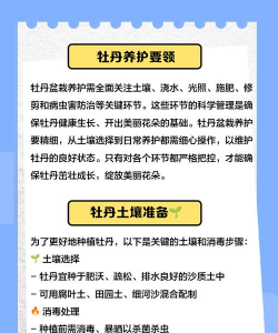 牡丹的栽培技术,选对品种,掌握关键步骤 牡丹的栽培技术,选对品种,掌握关键步骤