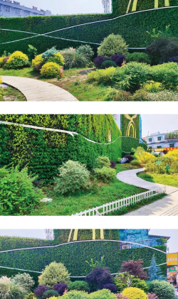 绿化设计施工一体化,提升项目效率,确保整体效果 绿化设计施工一体化,提升项目效率,确保整体效果