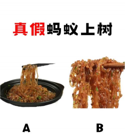蚂蚁咬树怎么防治树,常见问题解析,实用方法分享 蚂蚁咬树怎么防治树,常见问题解析,实用方法分享