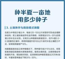 半夏栽培技术,掌握关键要点,轻松实现高产 半夏栽培技术,掌握关键要点,轻松实现高产