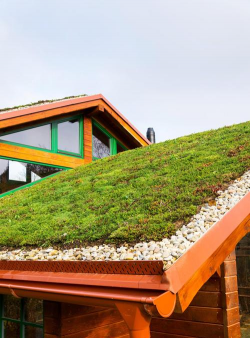 屋顶绿化设计要求,提升城市生态,打造绿色空间 屋顶绿化设计要求,提升城市生态,打造绿色空间