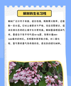 楸树病害防治,常见问题识别,有效应对方法 楸树病害防治,常见问题识别,有效应对方法