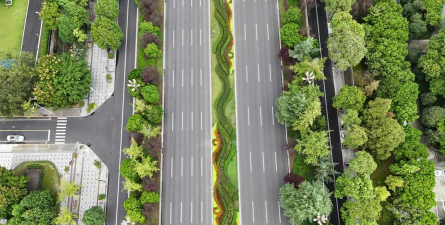 快速路绿化设计,提升行车体验,改善城市环境 快速路绿化设计,提升行车体验,改善城市环境