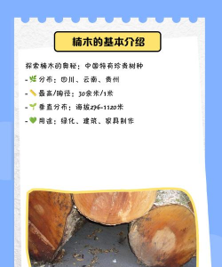 楠木树病害防治,常见问题识别,有效应对方法 楠木树病害防治,常见问题识别,有效应对方法