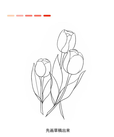 养的花怎么画,抓住形态特征,画出自然美感 养的花怎么画,抓住形态特征,画出自然美感